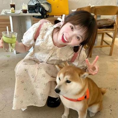 空中小姐